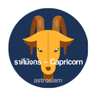 10 astrosiam trait by sign Capricorn the sea goat 140x140